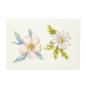 Preview: Crafters Companion - Stempelset "Foilage Fillers" Clear Stamps