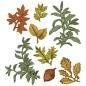 Preview: Sizzix - Stanzschablone & Stempelset "Forever Leaves" Framelits Craft Dies & Clear Stamps by 49 and Market