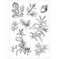 Preview: Sizzix - Stanzschablone & Stempelset "Forever Leaves" Framelits Craft Dies & Clear Stamps by 49 and Market