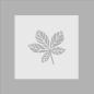 Preview: Crafters Companion - Schablone 8,5x8,5 Inch "Golden Fall" Stencil
