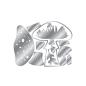 Preview: Crafters Companion - Stempelset & Stanzschablone "Harvest Nature" Stamp & Dies