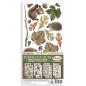 Preview: Stamperia - Stanzteile "Forest" Die Cuts