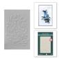 Preview: Spellbinders - Prägefolder "Norwegian Rosemaling" Embossingfolder