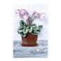 Preview: Spellbinders - Stanzschablone "Cyclamen" Dies