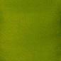 Preview: Cosmic Shimmer - Aquarelltinte "Golden Green" Inkology Ink 30ml