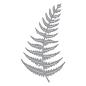 Preview: Spellbinders - Stanzschablone "Woodland Tales Fern" Dies