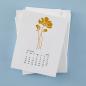 Preview: Spellbinders - Buchdrucktechnik "October Cosmos" BetterPress Plate
