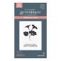 Preview: Spellbinders - Buchdrucktechnik "September Morning Glory" BetterPress Plate