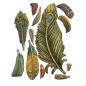 Preview: Stamperia - Gießform A5 "Feathers" Soft Mould 