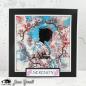 Preview: Visible Image - Stempelset A6 "Calm Over Chaos" Clear Stamps
