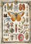 Preview: Ciao Bella - Decopatch Papier "Cabinet of Curiosities" Rice Paper A5 - 8 Bogen