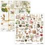 Preview: Mintay Papers - Papier Elemente "Academia" Paper Elements 12x12 Inch