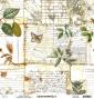 Preview: Mintay Papers - Papier Elemente "Academia" Paper Elements 12x12 Inch