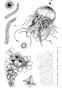 Preview: Katkin Krafts - Stempelset "Sea Wasp" Clear Stamps