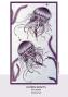 Preview: Katkin Krafts - Stempelset "Sea Wasp" Clear Stamps