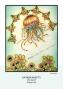 Preview: Katkin Krafts - Stempelset "Sea Wasp" Clear Stamps