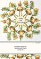Preview: Katkin Krafts - Stempelset "Woodland Floor" Clear Stamps