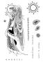 Preview: Katkin Krafts - Stempelset "Gabriel" Clear Stamps