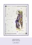 Preview: Katkin Krafts - Stempelset "Gabriel" Clear Stamps