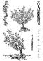 Preview: Katkin Krafts - Stempelset "Winds Of Change" Clear Stamps