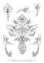 Preview: Katkin Krafts - Stempelset "Hummingbird" Clear Stamps