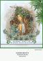 Preview: Katkin Krafts - Stempelset "Mother Nature" Clear Stamps