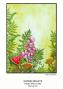 Preview: Katkin Krafts - Stempelset "Ferns and Fungi" Clear Stamps