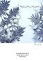 Preview: Katkin Krafts - Stempelset "Ferns and Fungi" Clear Stamps
