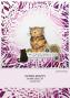 Preview: Katkin Krafts - Stempelset "Bumblebee Cat" Clear Stamps