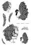 Preview: Katkin Krafts - Stempelset "The Roosters" Clear Stamps