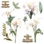 Preview: Papers For you - Transfer Aufkleber "Calla Lily" Decor Transfers 12x12 Inch