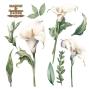 Preview: Papers For you - Transfer Aufkleber "Calla Lily" Decor Transfers 12x12 Inch