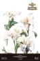 Preview: Papers For you - Transfer Aufkleber "Calla Lily" Decor Transfers 24x35 Inch