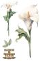 Preview: Papers For you - Transfer Aufkleber "Calla Lily" Decor Transfers 8x12 Inch