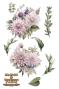 Preview: Papers For you - Transfer Aufkleber "Dahlias" Decor Transfers 8x12 Inch