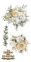 Preview: Papers For you - Transfer Aufkleber "Daisies" Decor Transfers 6x12 Inch