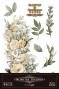 Preview: Papers For you - Transfer Aufkleber "Daisies" Decor Transfers 8x12 Inch