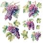 Preview: Papers For you - Transfer Aufkleber "Grapes" Decor Transfers 12x12 Inch