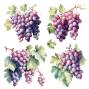 Preview: Papers For you - Transfer Aufkleber "Grapes" Decor Transfers 12x12 Inch