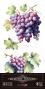 Preview: Papers For you - Transfer Aufkleber "Grapes" Decor Transfers 6x12 Inch