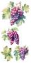 Preview: Papers For you - Transfer Aufkleber "Grapes" Decor Transfers 6x12 Inch