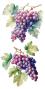 Preview: Papers For you - Transfer Aufkleber "Grapes" Decor Transfers 6x12 Inch