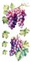 Preview: Papers For you - Transfer Aufkleber "Grapes" Decor Transfers 6x12 Inch