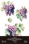 Preview: Papers For you - Transfer Aufkleber "Grapes" Decor Transfers 8x12 Inch