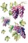 Preview: Papers For you - Transfer Aufkleber "Grapes" Decor Transfers 8x12 Inch