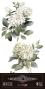 Preview: Papers For you - Transfer Aufkleber "Hydrangeas" Decor Transfers 6x12 Inch
