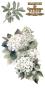 Preview: Papers For you - Transfer Aufkleber "Hydrangeas" Decor Transfers 6x12 Inch