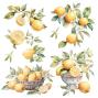 Preview: Papers For you - Transfer Aufkleber "Lemon" Decor Transfers 12x12 Inch