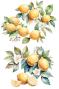 Preview: Papers For you - Transfer Aufkleber "Lemon" Decor Transfers 24x35 Inch