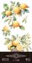 Preview: Papers For you - Transfer Aufkleber "Lemon" Decor Transfers 6x12 Inch
